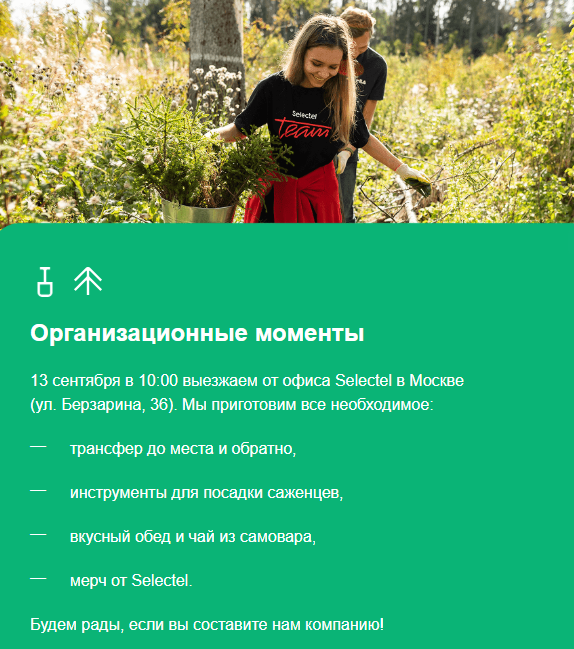 Ждем вас на высадках леса
